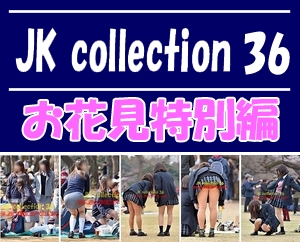 JK collection 36 【お花見特別編】