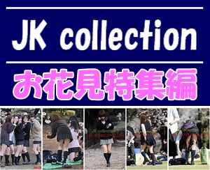 JK collection　お花見特集編