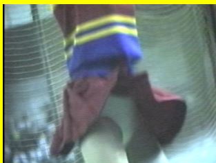 2718/「蒐集撮り・チアーでいこう(18)」 2718/「蒐集撮り・チアーでいこう(18)」